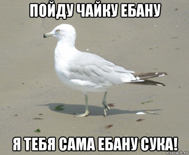пойду чайку ебану я тебя сама ебану сука!