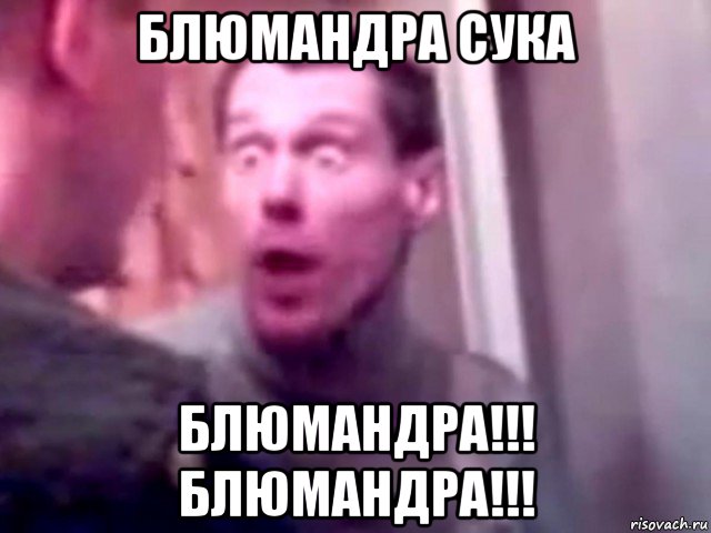 блюмандра сука блюмандра!!! блюмандра!!!