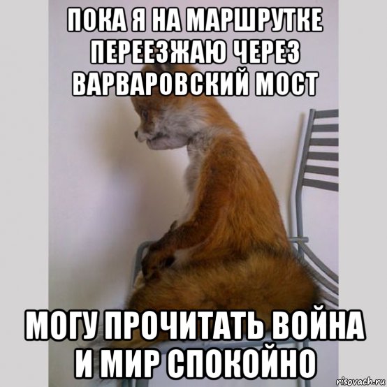 пока я на маршрутке переезжаю через варваровский мост могу прочитать война и мир спокойно, Мем ждать