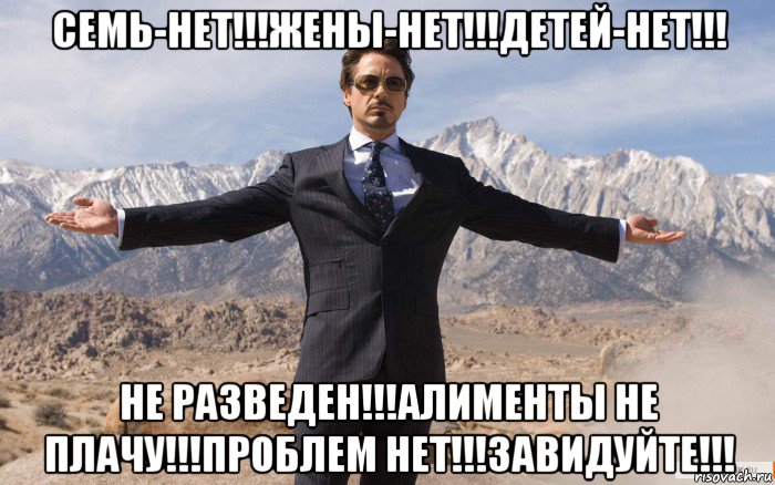 семь-нет!!!жены-нет!!!детей-нет!!! не разведен!!!алименты не плачу!!!проблем нет!!!завидуйте!!!, Мем железный человек