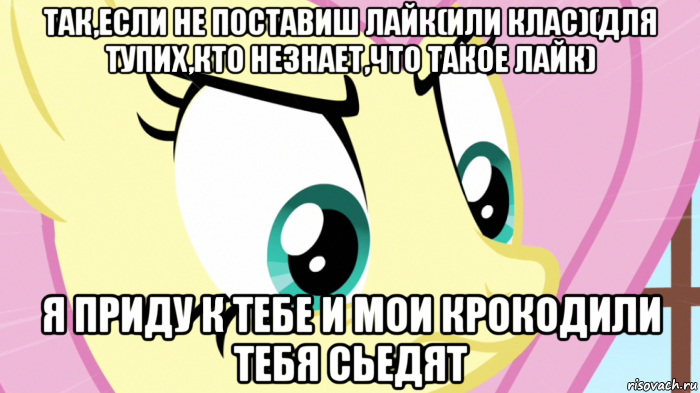 так,если не поставиш лайк(или клас)(для тупих,кто незнает,что такое лайк) я приду к тебе и мои крокодили тебя сьедят, Мем Злая флатершай