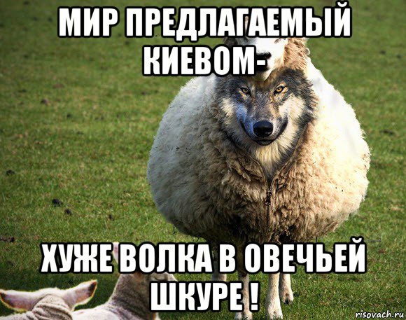 мир предлагаемый киевом- хуже волка в овечьей шкуре !, Мем Злая Овца
