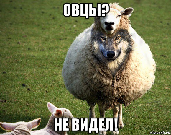 овцы? не видел!, Мем Злая Овца