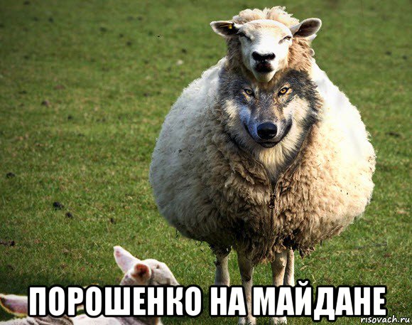  порошенко на майдане, Мем Злая Овца