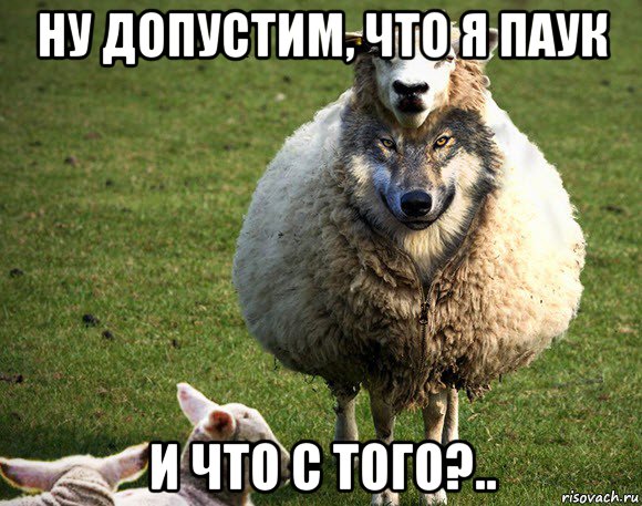 ну допустим, что я паук и что с того?.., Мем Злая Овца