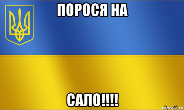 порося на сало!!!!