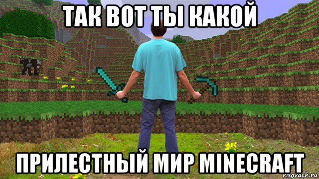 так вот ты какой прилестный мир minecraft