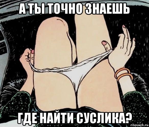 а ты точно знаешь где найти суслика?, Мем А ты точно