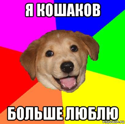 я кошаков больше люблю, Мем Advice Dog