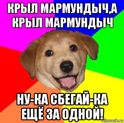 крыл мармундыч,а крыл мармундыч ну-ка сбегай-ка ещё за одной!, Мем Advice Dog