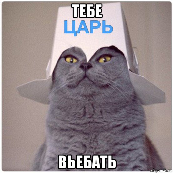 тебе вьебать