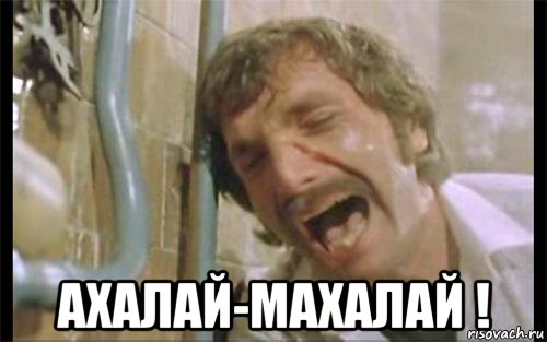  ахалай-махалай !