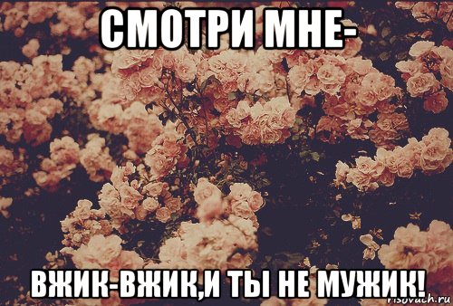 смотри мне- вжик-вжик,и ты не мужик!, Мем баба