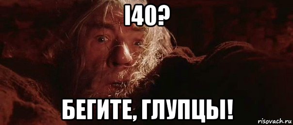 i40? бегите, глупцы!, Мем бегите глупцы