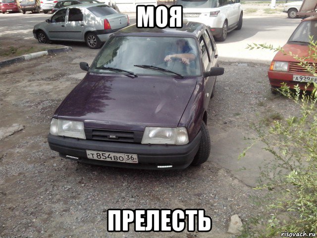 моя прелесть