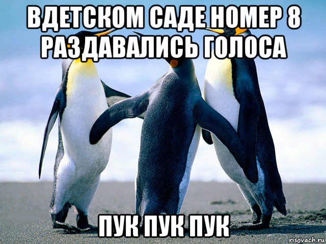 вдетском саде номер 8 раздавались голоса пук пук пук