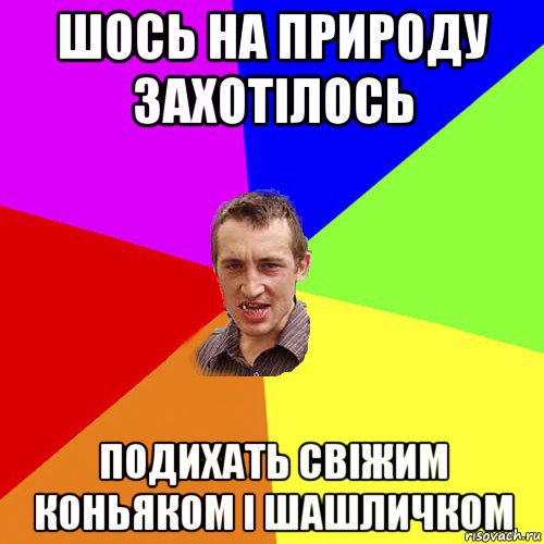 шось на природу захотілось подихать свіжим коньяком і шашличком, Мем Чоткий паца