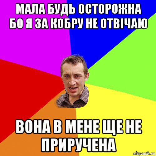 мала будь осторожна бо я за кобру не отвічаю вона в мене ще не приручена, Мем Чоткий паца