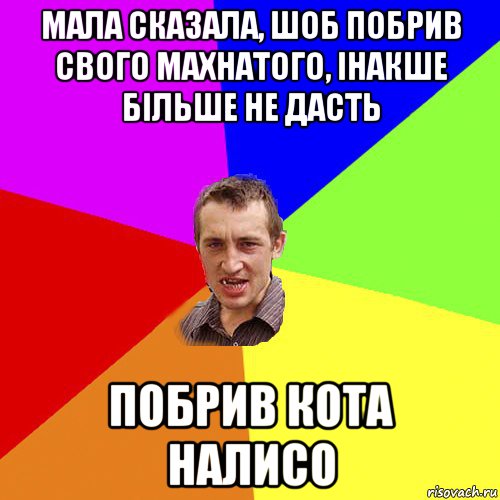 мала сказала, шоб побрив свого махнатого, інакше більше не дасть побрив кота налисо, Мем Чоткий паца