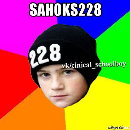 sahoks228 , Мем  Циничный школьник 1