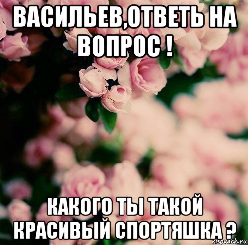 васильев,ответь на вопрос ! какого ты такой красивый спортяшка ?