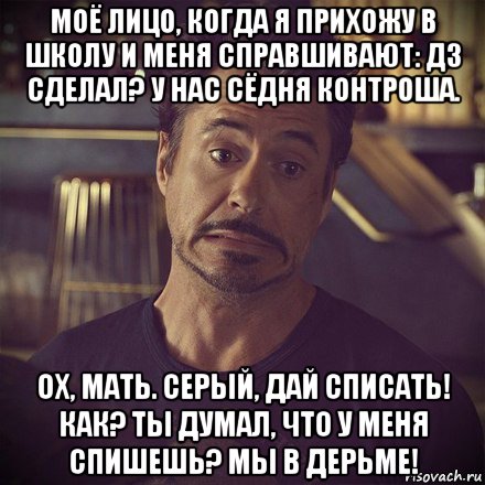 моё лицо, когда я прихожу в школу и меня справшивают: дз сделал? у нас сёдня контроша. ох, мать. серый, дай списать! как? ты думал, что у меня спишешь? мы в дерьме!, Мем   дауни фиг знает