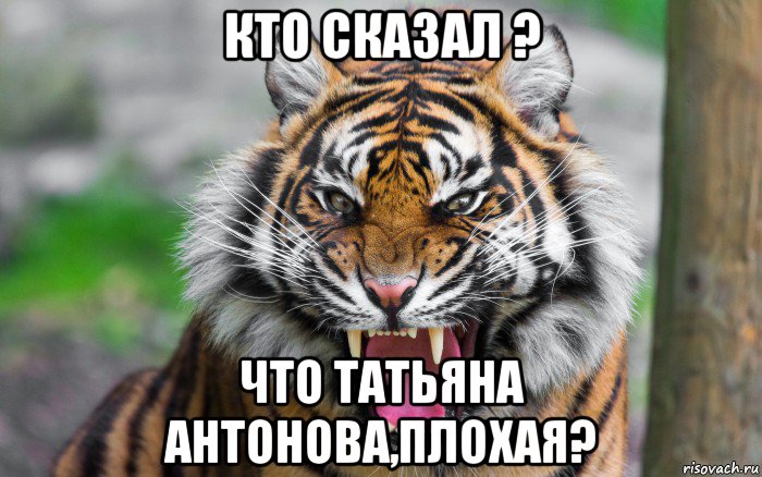 кто сказал ? что татьяна антонова,плохая?