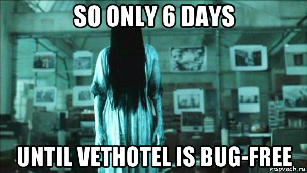 so only 6 days until vethotel is bug-free