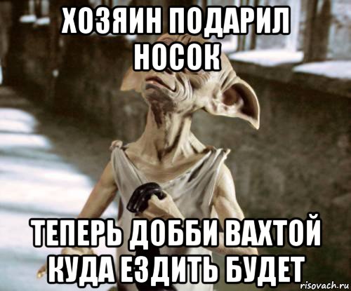 хозяин подарил носок теперь добби вахтой куда ездить будет, Мем добби