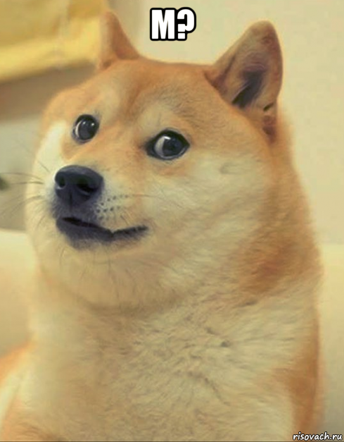 м? , Мем doge woof