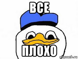 все плохо, Мем Duck Angel