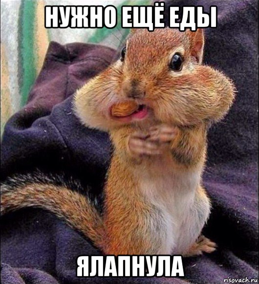 нужно ещё еды ялапнула