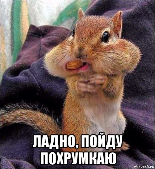  ладно, пойду похрумкаю