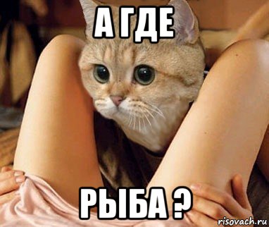 а где рыба ?