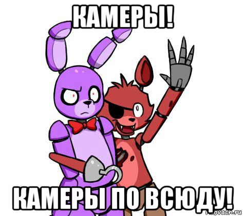 камеры! камеры по всюду!
