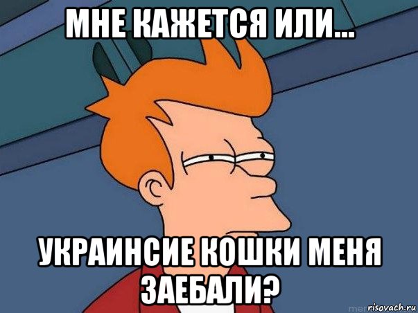 мне кажется или... украинсие кошки меня заебали?, Мем  Фрай (мне кажется или)