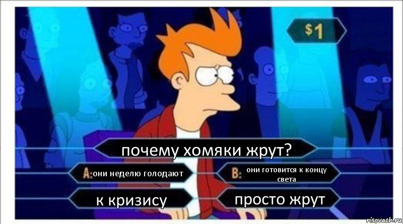 почему хомяки жрут? они неделю голодают они готовится к концу света к кризису просто жрут, Комикс  фрай кто хочет стать миллионером