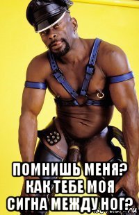  помнишь меня? как тебе моя сигна между ног?