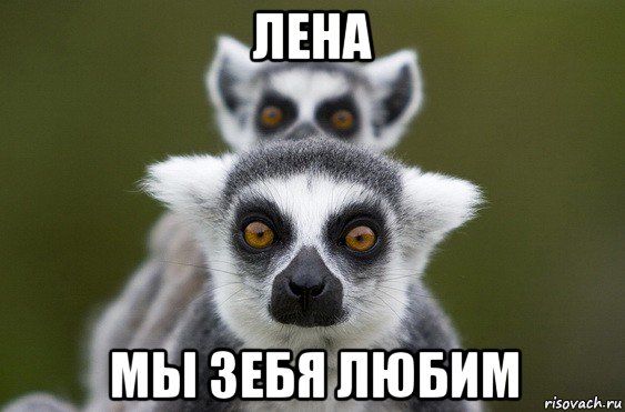 лена мы зебя любим
