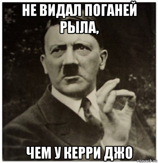 не видал поганей рыла, чем у керри джо, Мем гитлер нельзя просто так