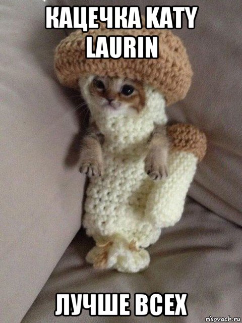 кацечка katy laurin лучше всех, Мем гриб