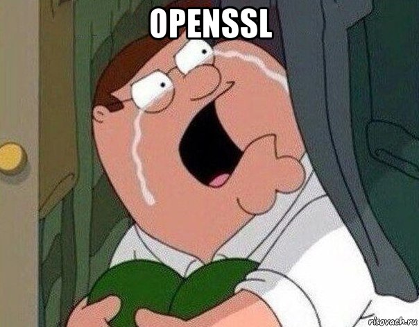 openssl , Мем Гриффин плачет