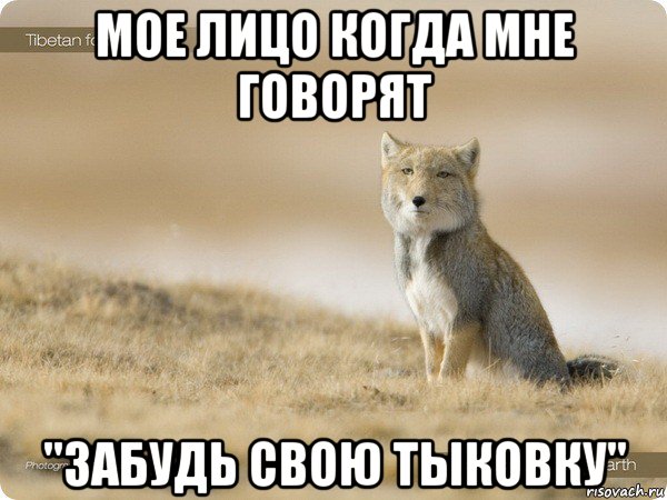мое лицо когда мне говорят "забудь свою тыковку"