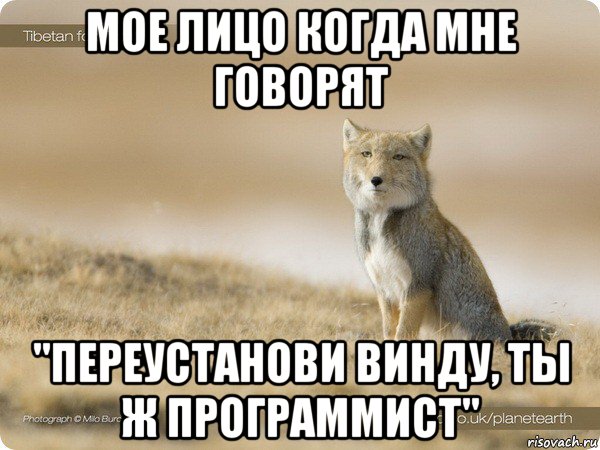 мое лицо когда мне говорят "переустанови винду, ты ж программист"