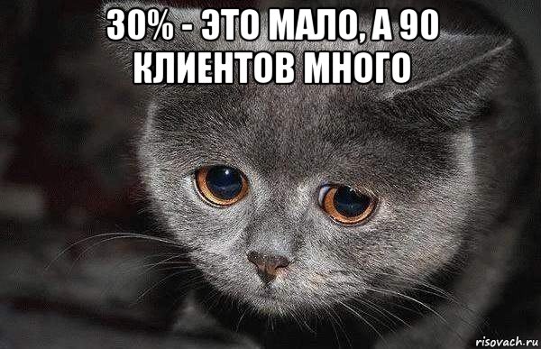 30% - это мало, а 90 клиентов много , Мем  Грустный кот