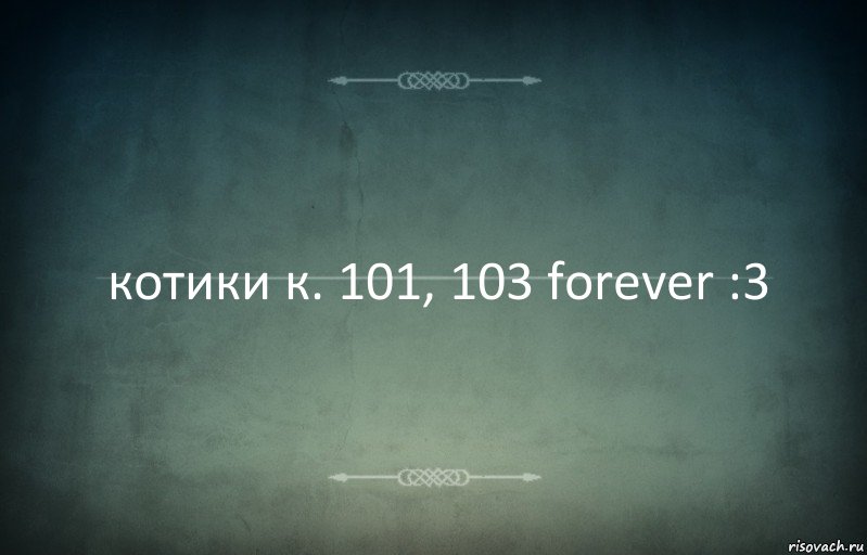 котики к. 101, 103 forever :3