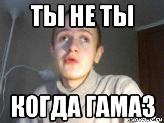 ты не ты когда гамаз, Мем иван гамаз
