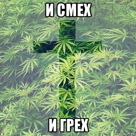 и смех и грех, Мем Канапля