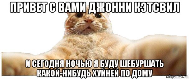 привет с вами джонни кэтсвил и сегодня ночью я буду шебуршать какой-нибудь хуйней по дому, Мем   Кэтсвилл