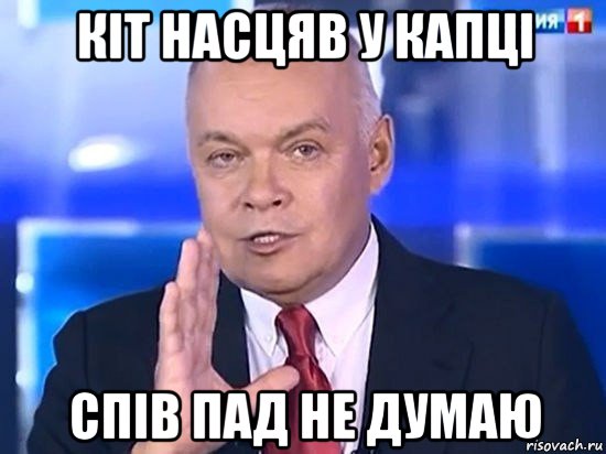 кіт насцяв у капці спів пад не думаю, Мем Киселёв 2014